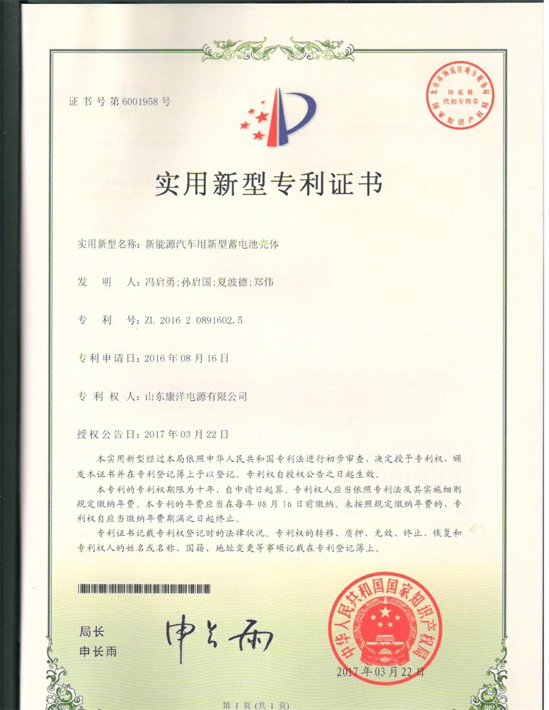 Patent certificate 4